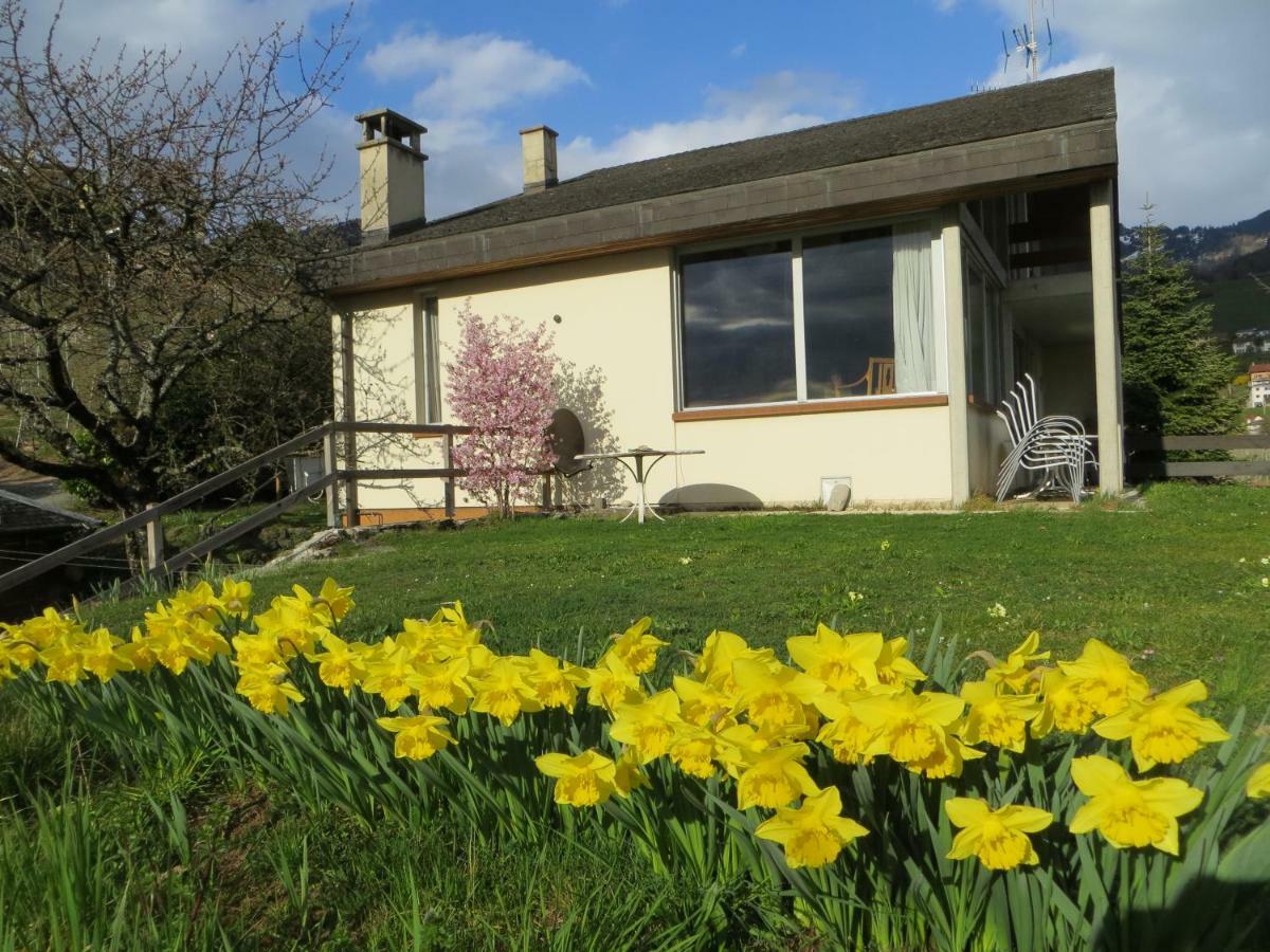 Maison Familiale A Montreux Avec Vue Sur Le Lac Villa Exterior foto