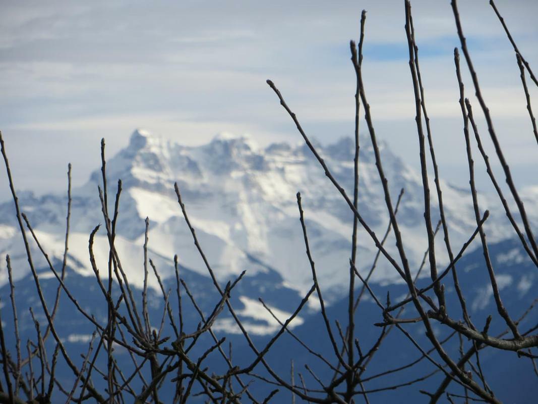 Maison Familiale A Montreux Avec Vue Sur Le Lac Villa Exterior foto