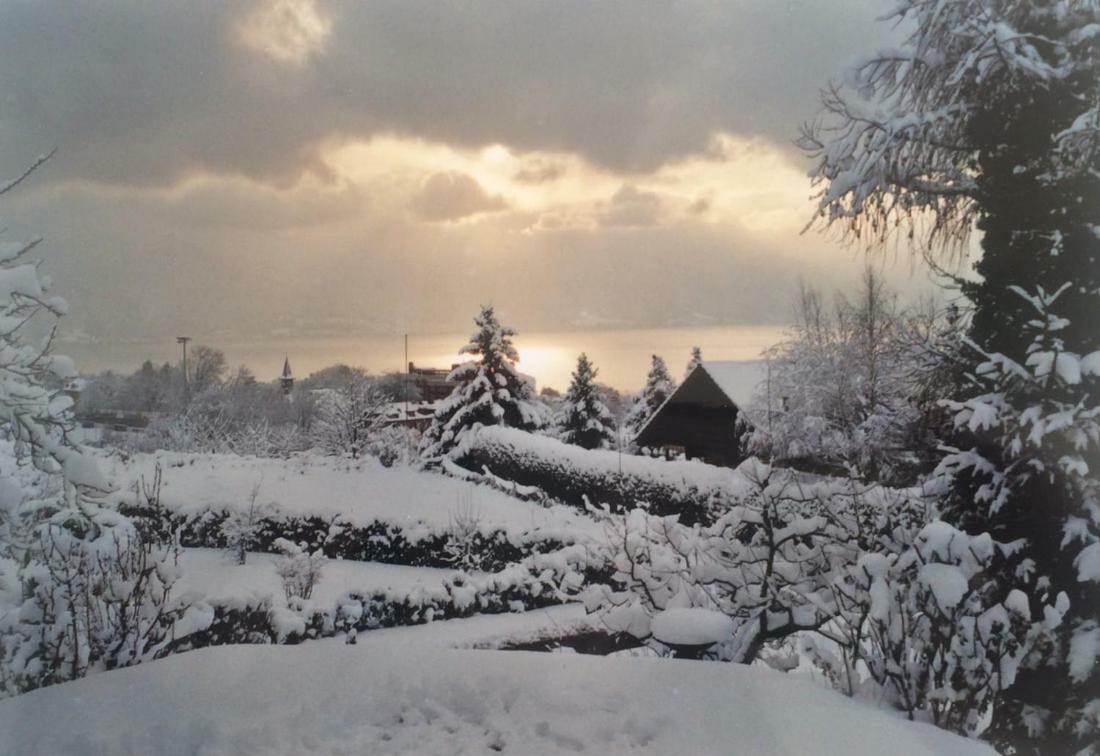 Maison Familiale A Montreux Avec Vue Sur Le Lac Villa Exterior foto