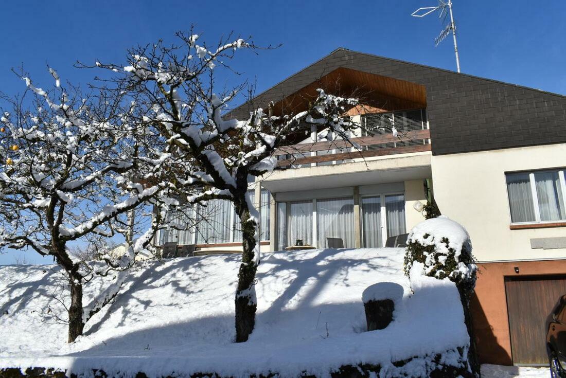 Maison Familiale A Montreux Avec Vue Sur Le Lac Villa Exterior foto