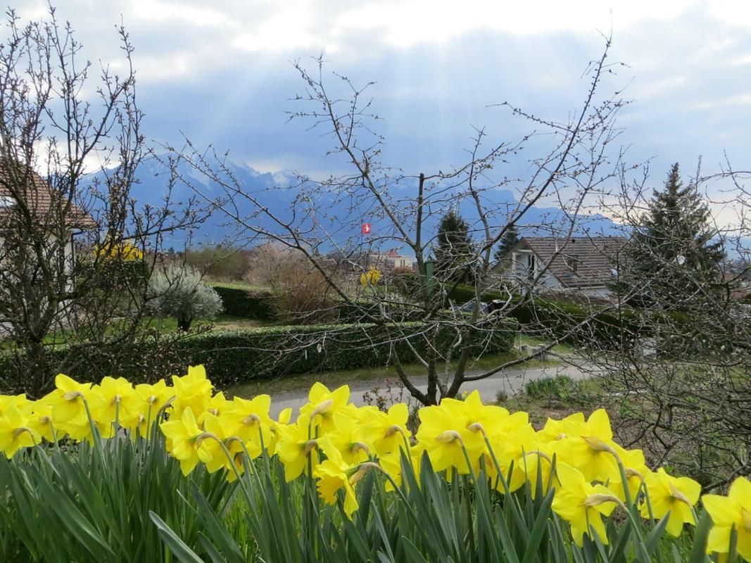 Maison Familiale A Montreux Avec Vue Sur Le Lac Villa Exterior foto