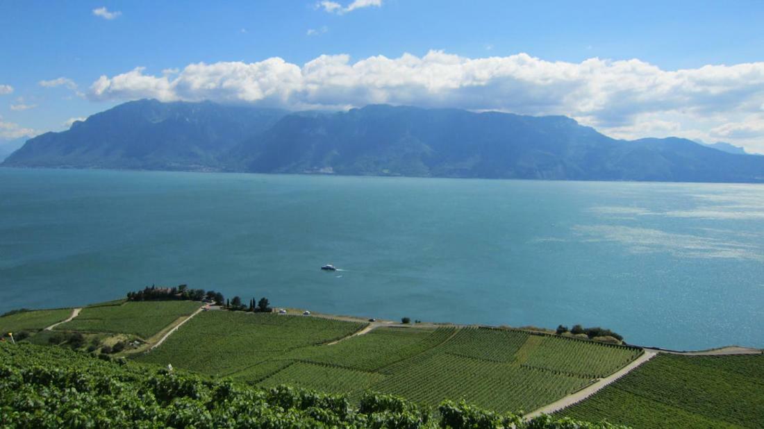 Maison Familiale A Montreux Avec Vue Sur Le Lac Villa Exterior foto