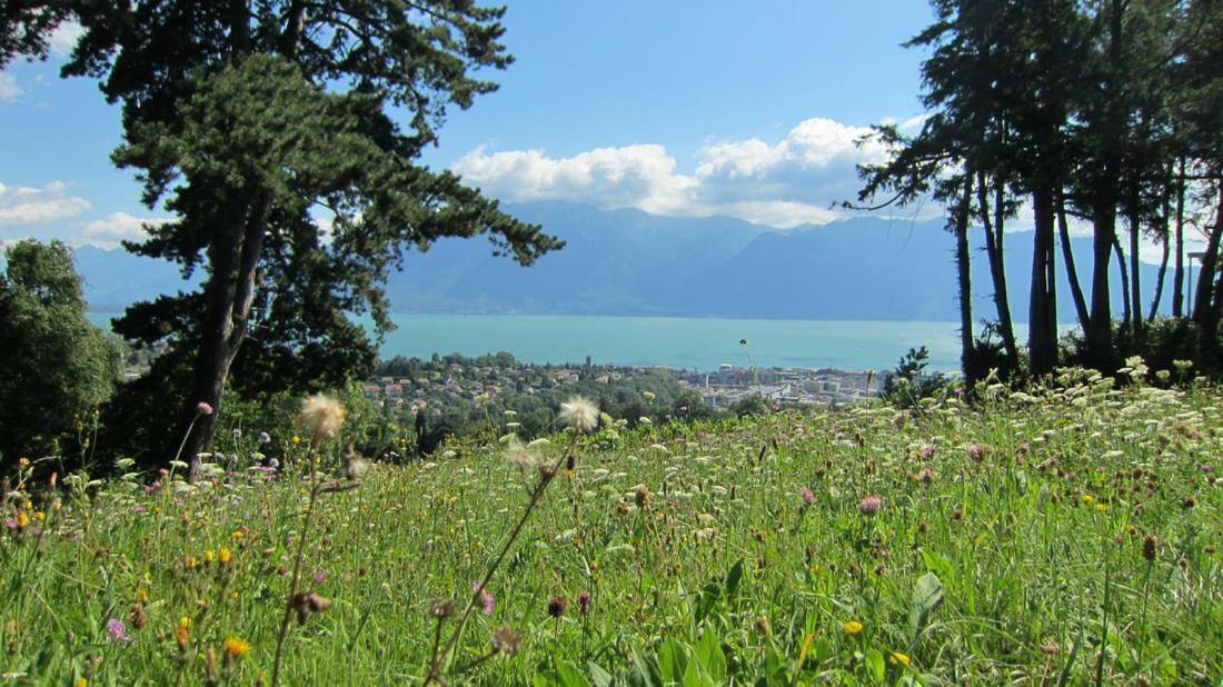 Maison Familiale A Montreux Avec Vue Sur Le Lac Villa Exterior foto