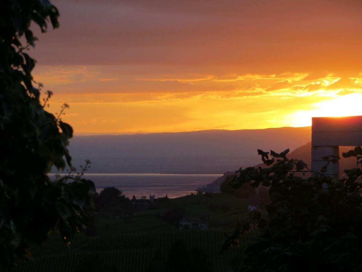 Maison Familiale A Montreux Avec Vue Sur Le Lac Villa Exterior foto